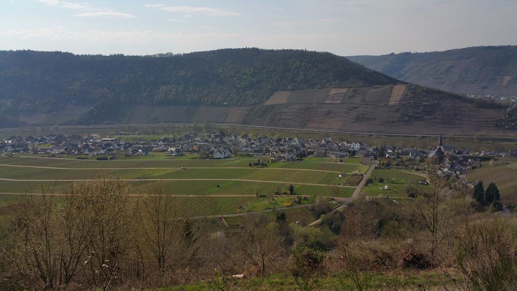 Ferienwohnung Jo Secco Bruttig-Fankel Exteriör bild